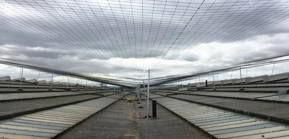 Bird Barrier Installation Menifee