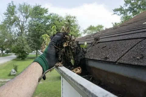 roof and gutter cleaning